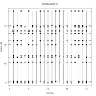 Plot of genotype data with
  potential errors flagged [48k]