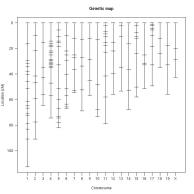 Plot of genetic map [40k]