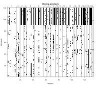 Plot of missing genotypes [76k]